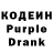 Codein Purple Drank rimskiy kot