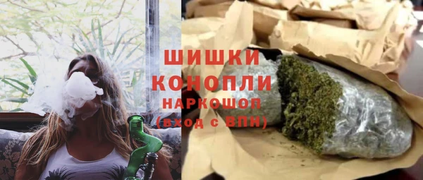 прущие грибы Краснотурьинск
